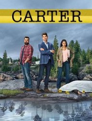 Carter Saison 1 