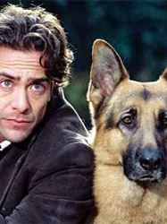 Rex, chien flic Saison 3 